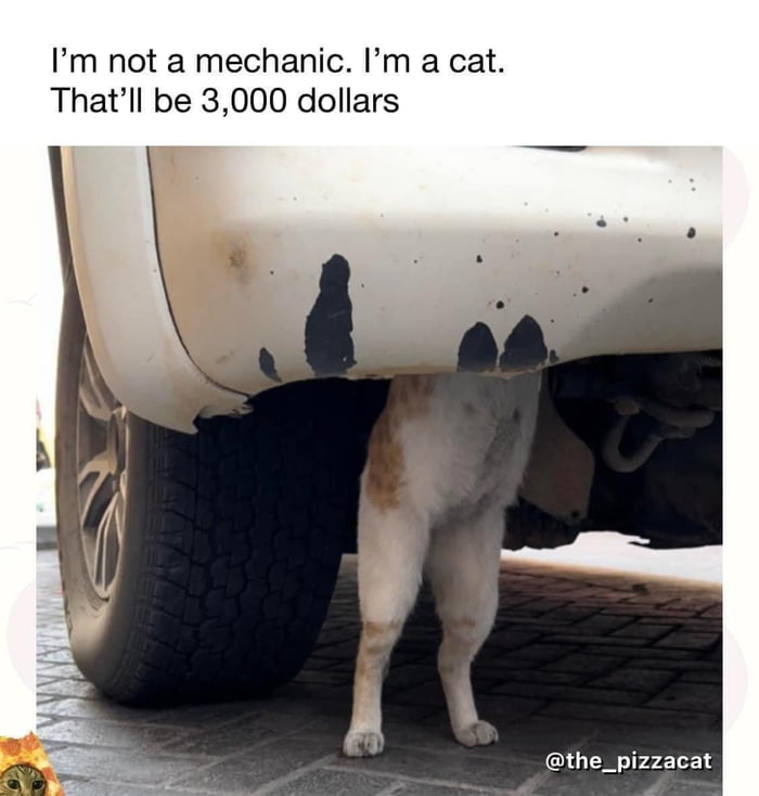 Mechanic 9gag