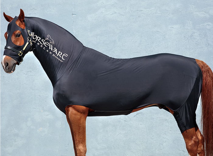 horse-fashion-9gag