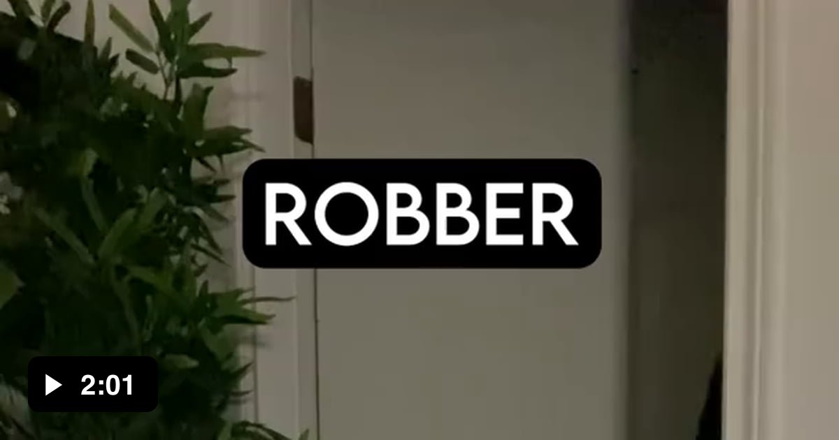 how-dog-breeds-react-to-robbers-part-one-9gag