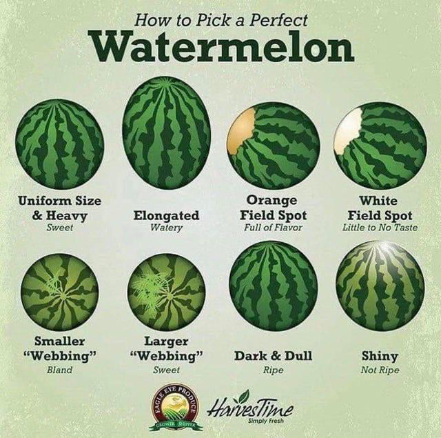You don’t have to thump watermelons at the market 🍉 9GAG