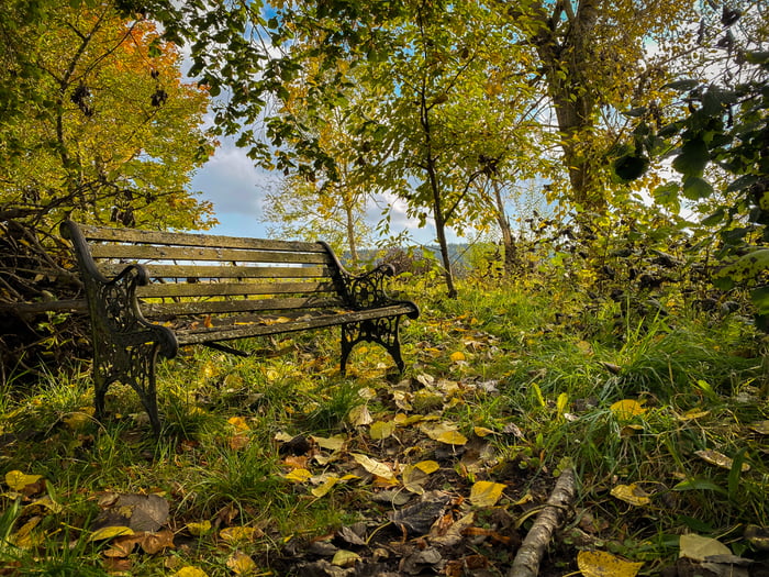 Autumn in my backyard (Germany) - 9GAG