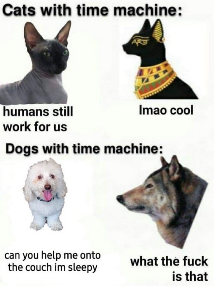 Evolution in perspective - 9GAG