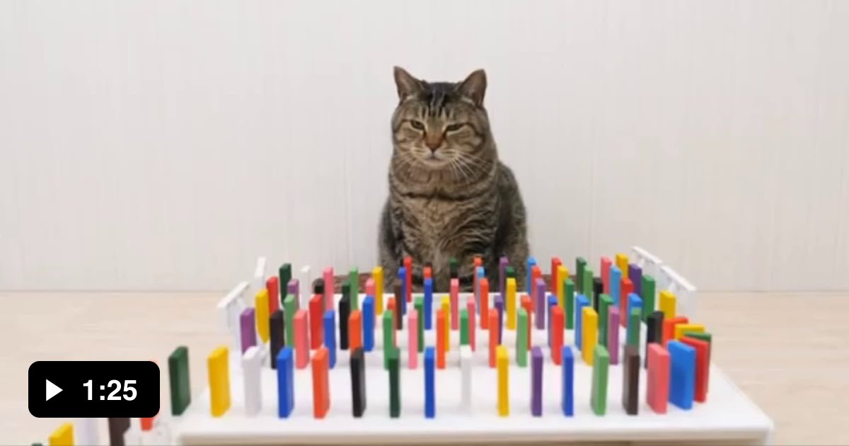 This is satisfying - 9GAG