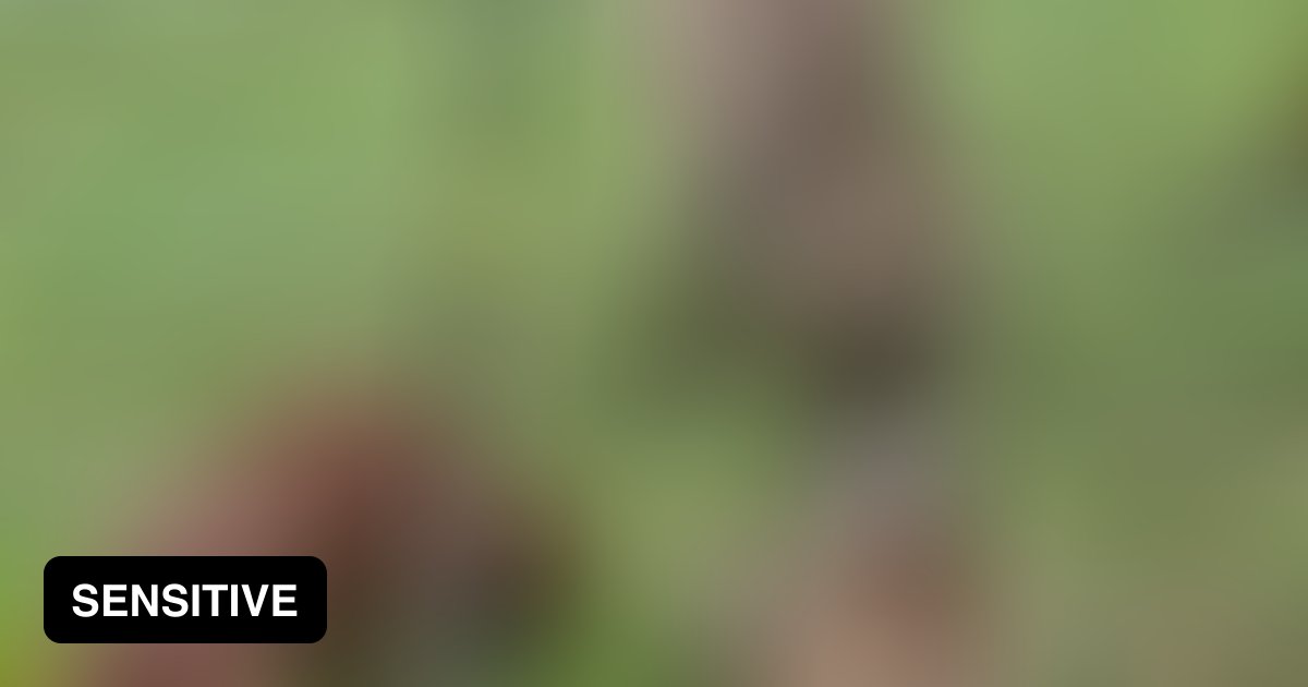 Donkey laughs at dog getting shocked by electric fence 9GAG