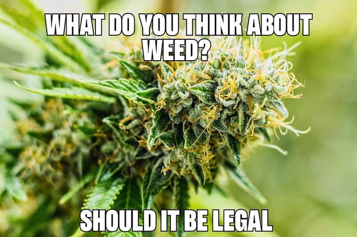 What do you guys think about this topic? Should weed be legal? Why ...