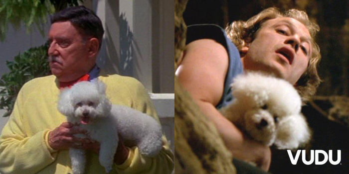 The dog who plays “Queenie” in The Burbs (1989), is the same dog that