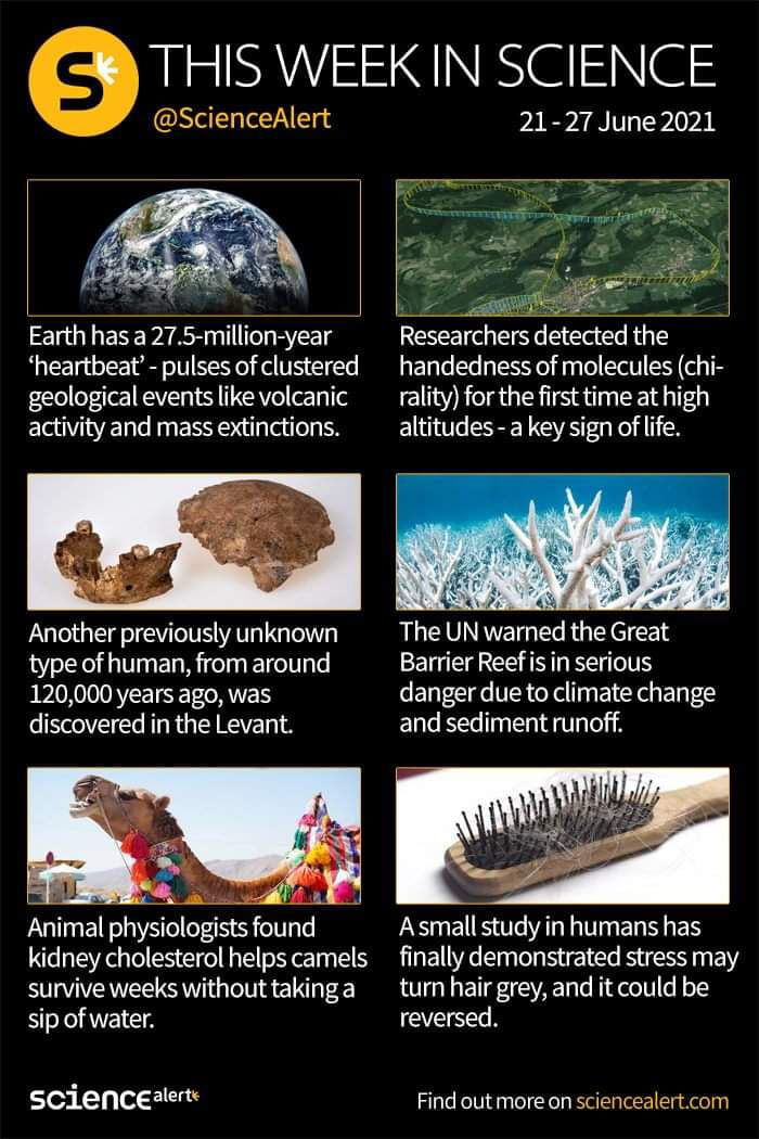 Weekly science by science alert 9GAG