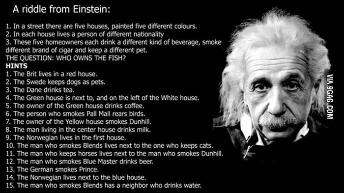 How to solve the Einstein Test: Who owns the fish? (Subtitles in English) 