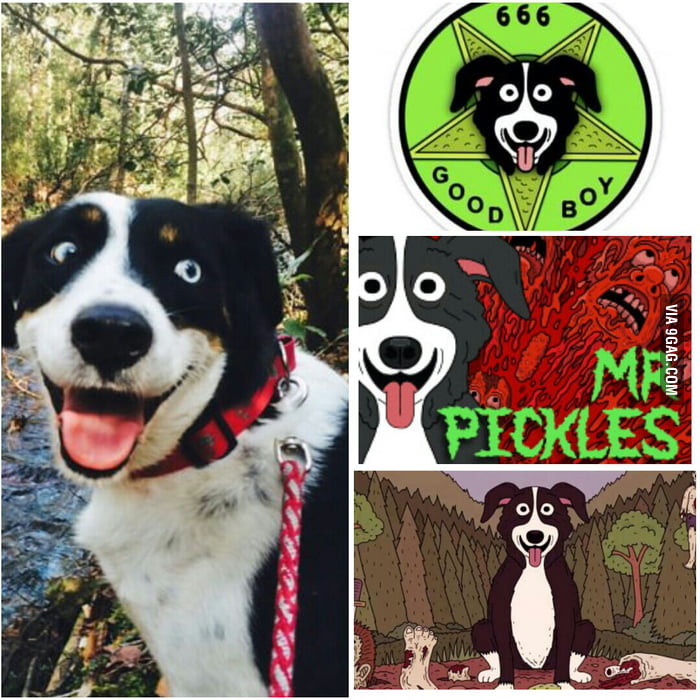 mr pickles stuffed animal