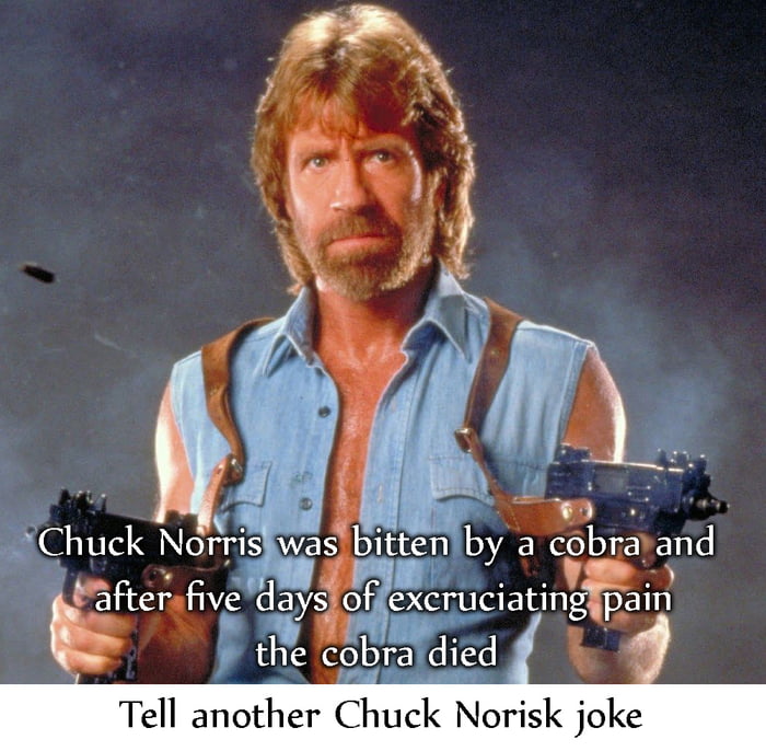 When Chuck Norris Turned 18 His Parents Moved Out 9gag - when chuck norris turned 18 his parents moved out