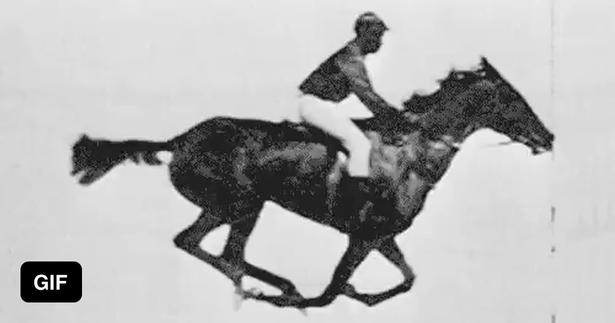 The First Gif Ever Made