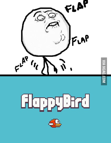 Don't Get In A Flap