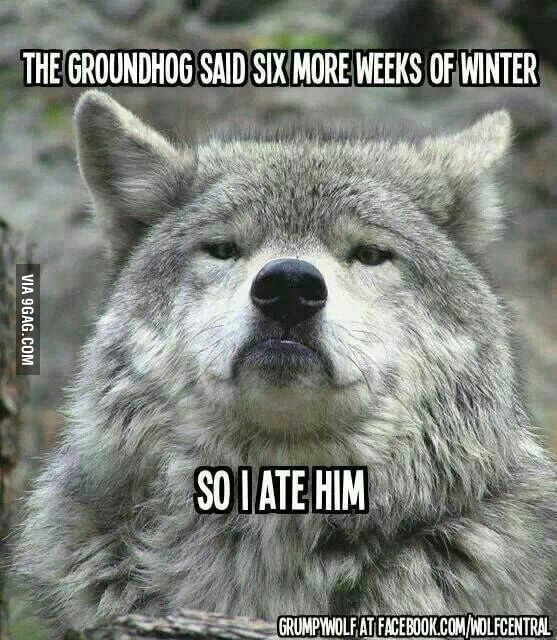 Hungry wolf. - 9GAG