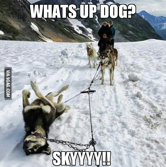 When I saw this picture.. - 9GAG