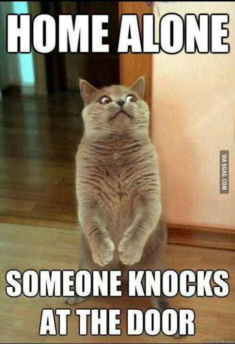 Omg Someone Is Knocking On My Door O 9gag
