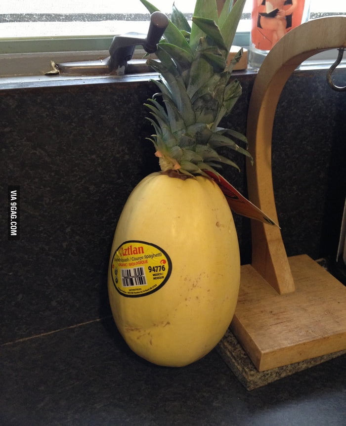 Roommates ate my pineapple last night. Thought I wouldn't notice? 9GAG