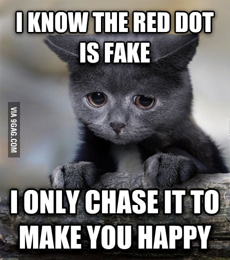 Confession Cat - 9GAG