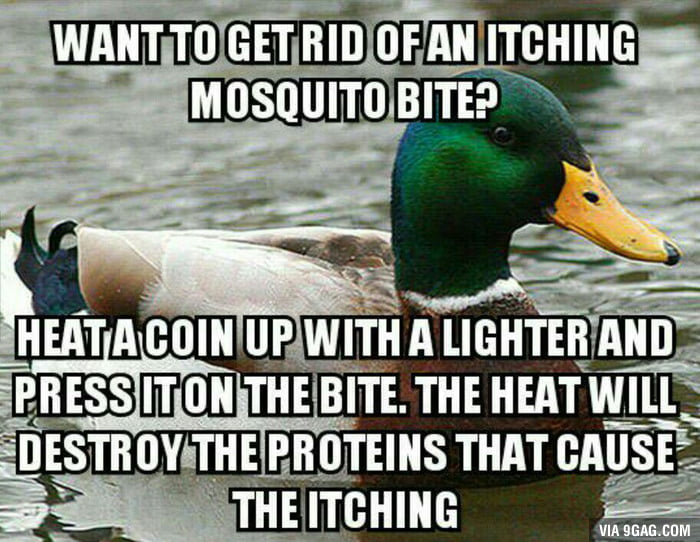 Let's bring this meme back to its roots - 9GAG