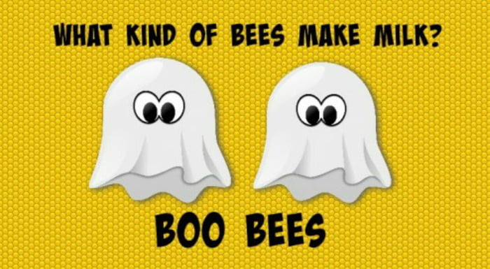 Boo bees - Funny.