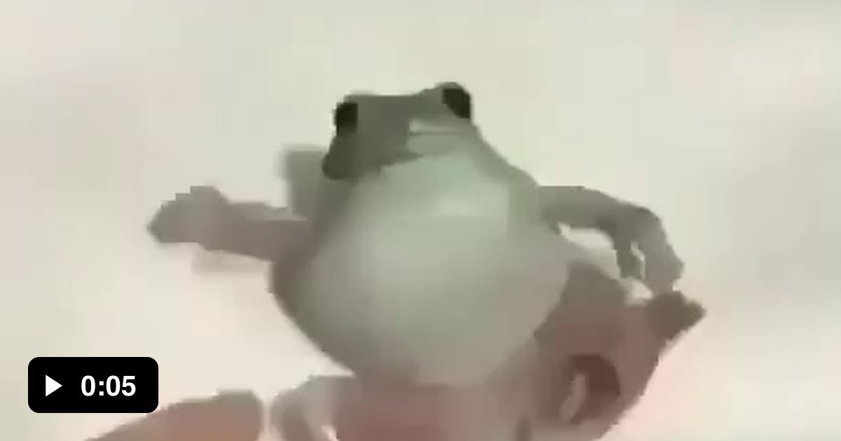 Explosive frog - 9GAG