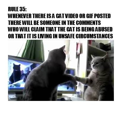 Ladies And Gentlemen Of The Internet I Submit To You Rule 35 9gag