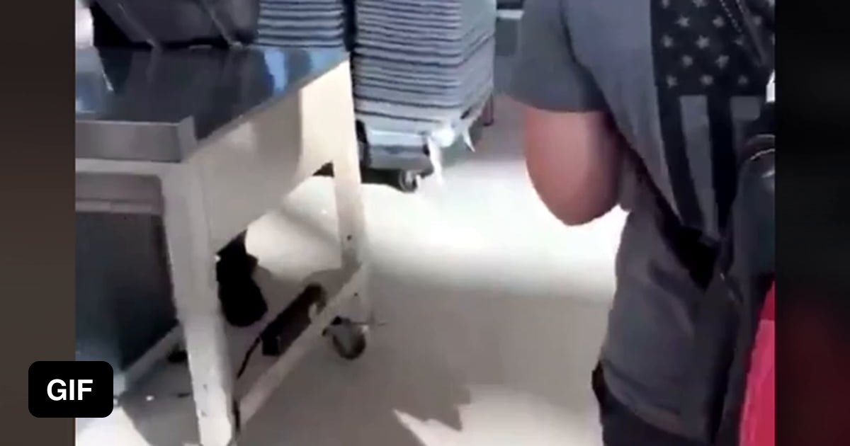 Tsa Agent Opening The Ladys Bag And Finding A Giant Dildo 9gag