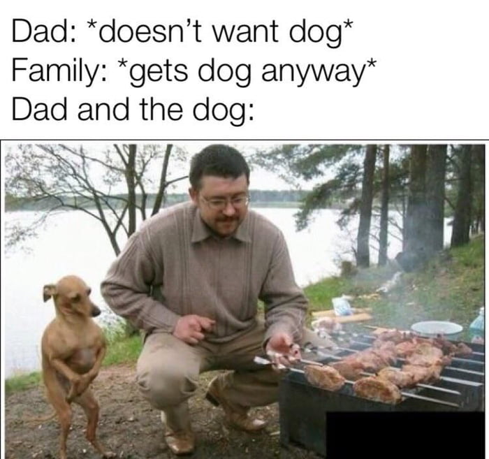 Don't want a dog - 9GAG