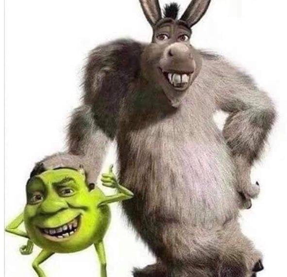 Get Out Of My Swamp 9gag