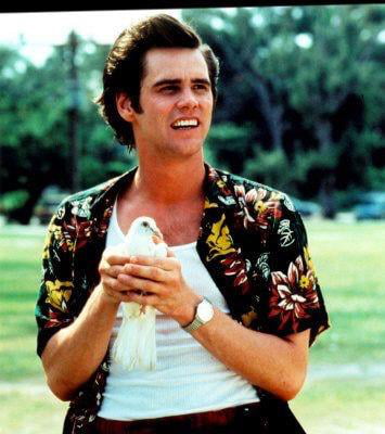 Ace ventura hot sale bird