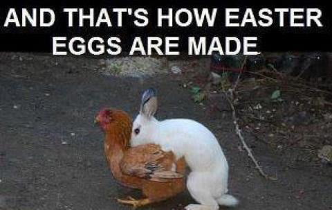 Happy Easter 9GAG - 9GAG