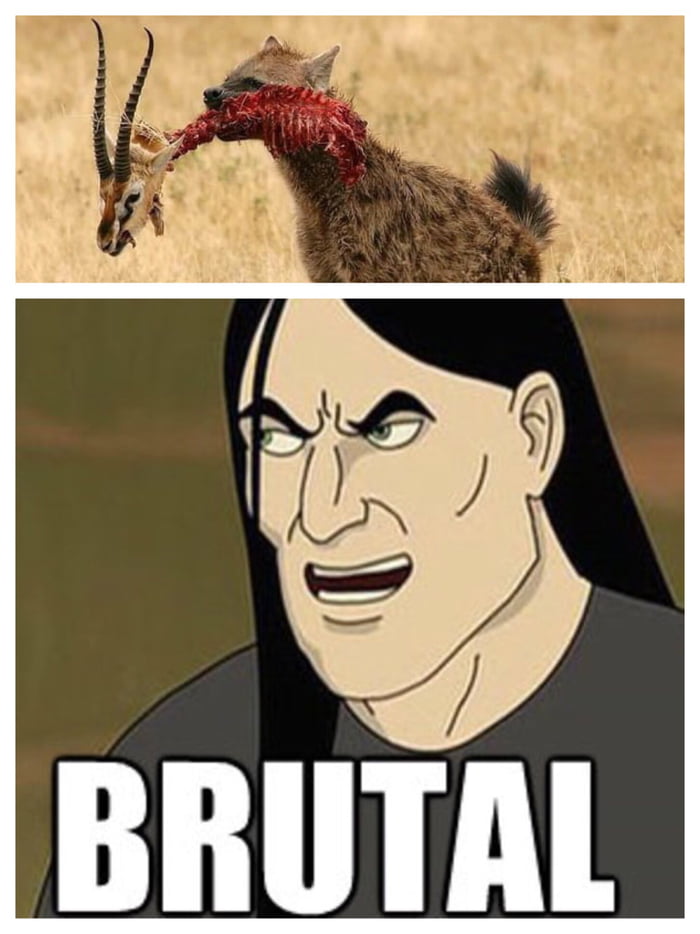 You re scary