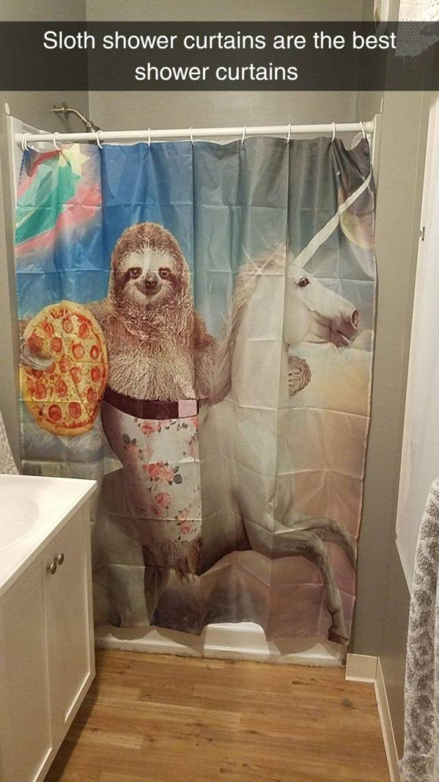 I Recently Bought A Sloth Shower Curtain And Agree 9gag I Recently Bought A Sloth Shower Curtain And Agree