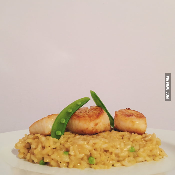 Pan Seared Bay Scallops served over Parmesan and Snap Pea Risotto! 9GAG