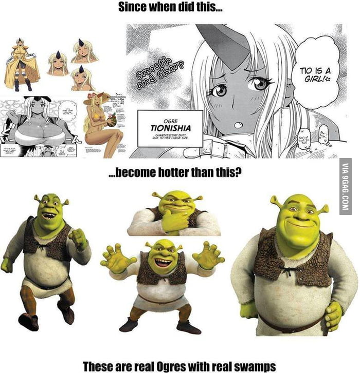 Real Ogres Have Layers 9GAG