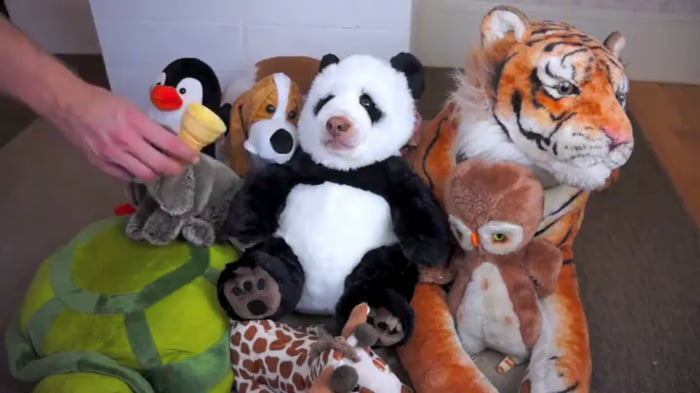 the cute stuffed animal reddit