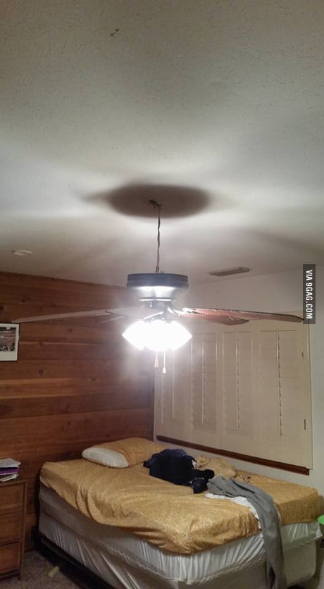 My Ceiling Fan Fell Out Of The Ceiling Last Night Appears