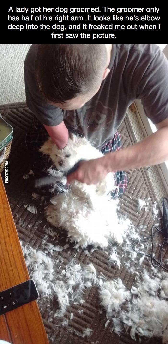 It freaked me out when I first saw this picture... - 9GAG