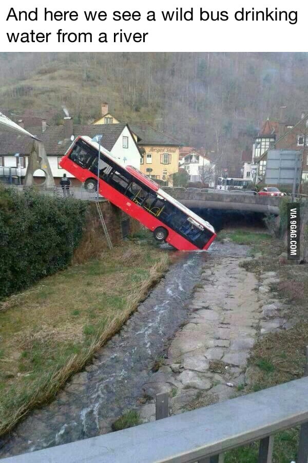 Rare Bus Spotted - 9GAG