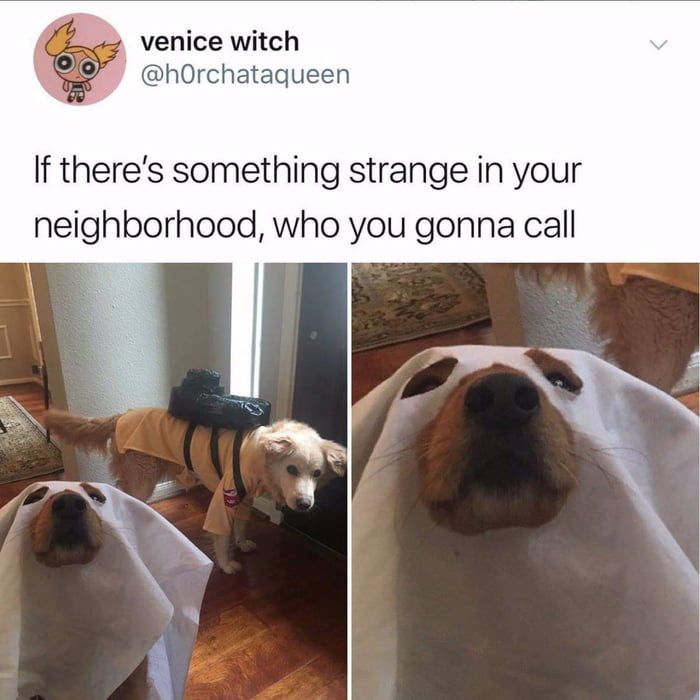 Spooky Dookie 9GAG spooky-dookie-9gag
