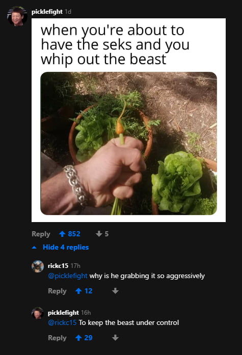 The comments section on 9GAG is the best thing we have - 9GAG