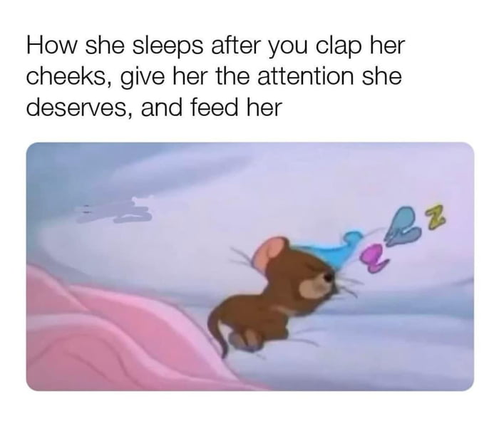 Well it’s not wrong … - 9GAG