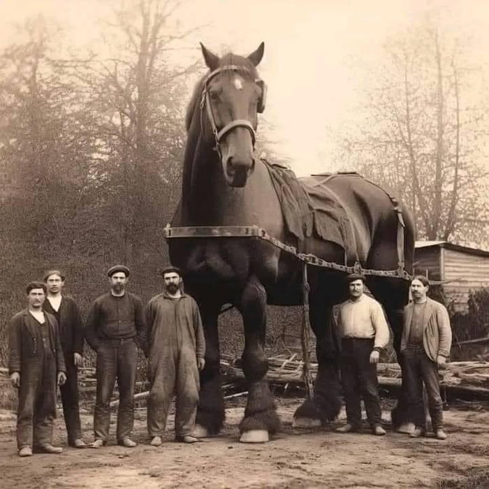 Fukureruba Big Horse