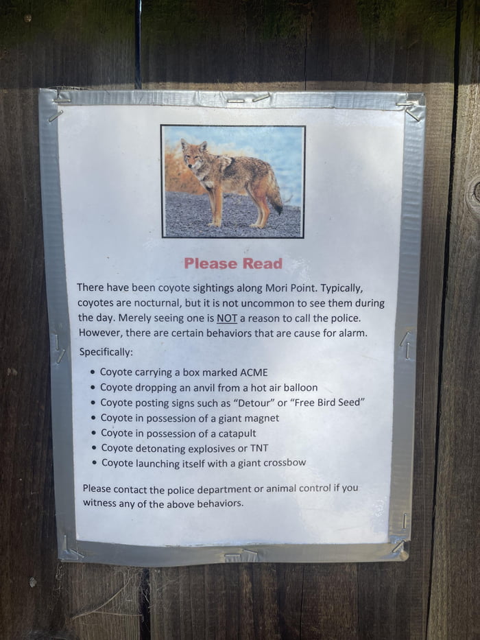 Coyote of Pacifica the jack of all tools 9GAG