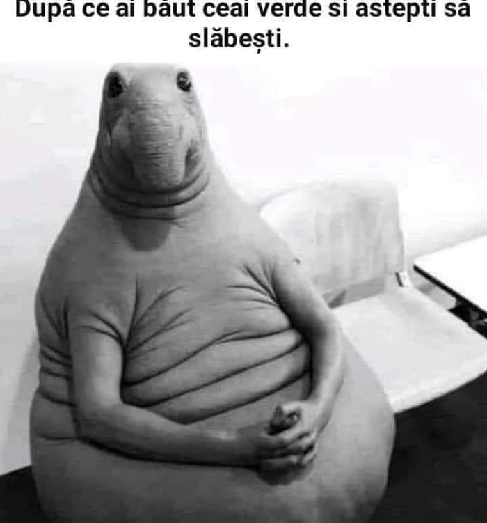 In Cat Timp Se Face Efectul La Clisma Melilax In cât timp își face efectul? - 9GAG