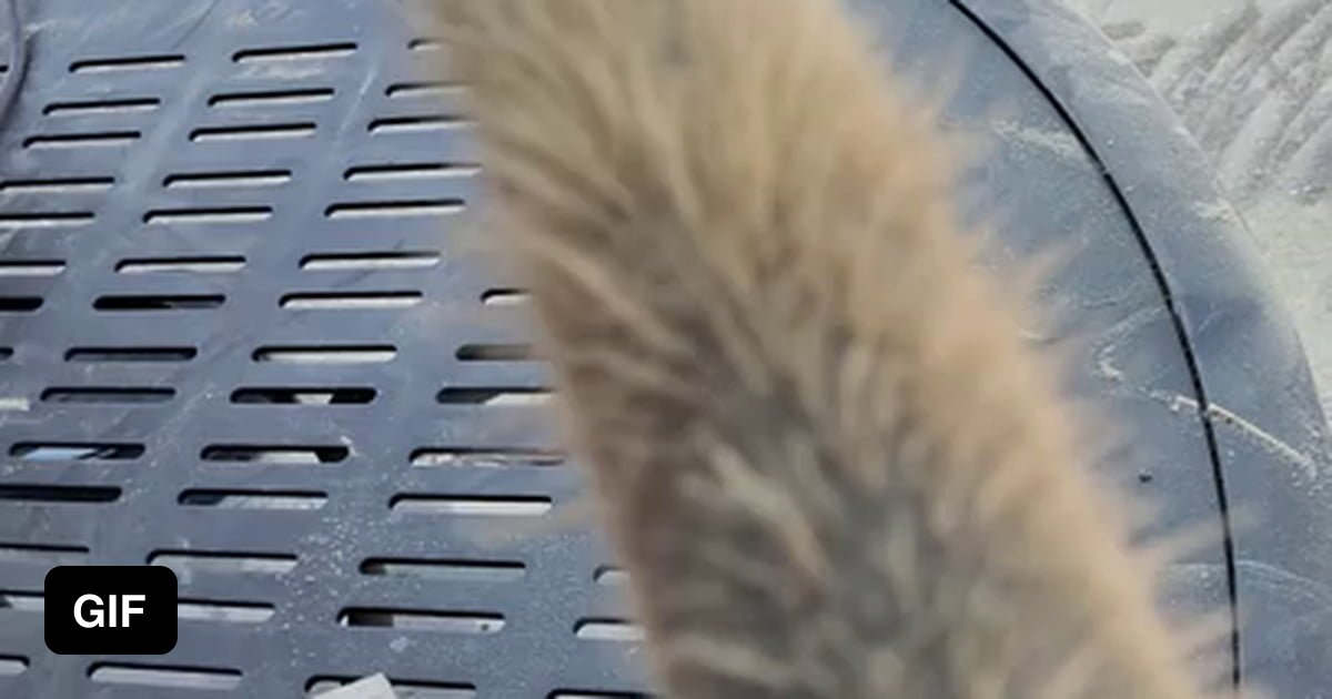 Saw dust + static electricity = tiny dust spikes 9GAG