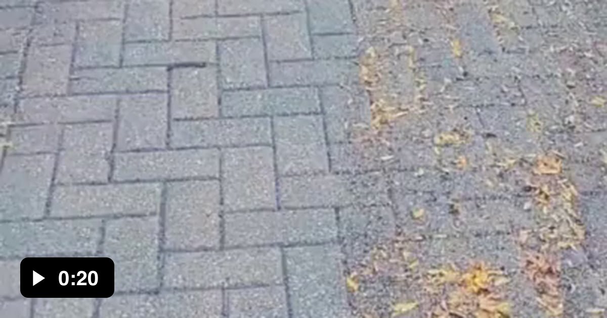 Power brooming these leaves 9GAG