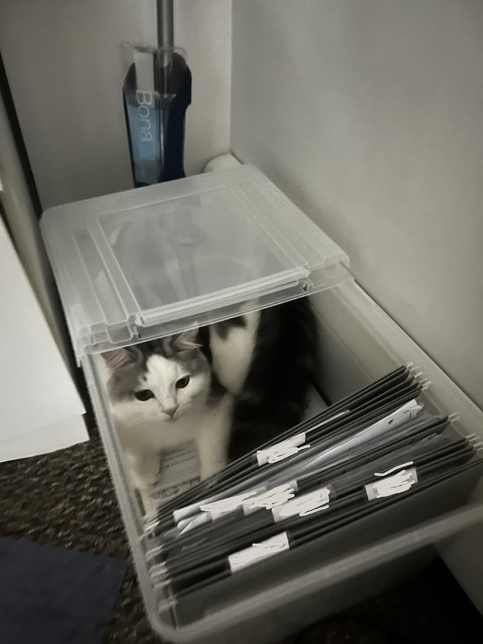 He helps organize the file cabinet - 9GAG