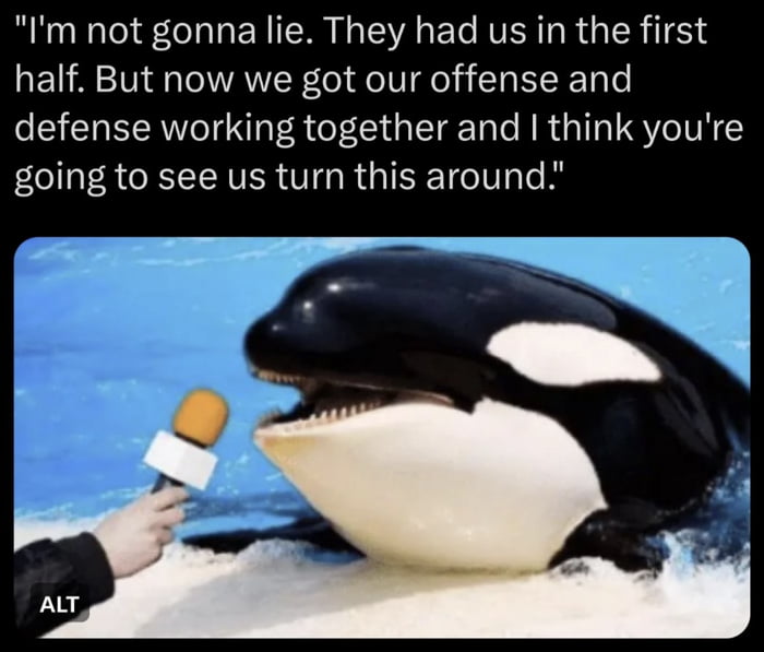 Orcas are turning the tide in the battle against yachts - 9GAG