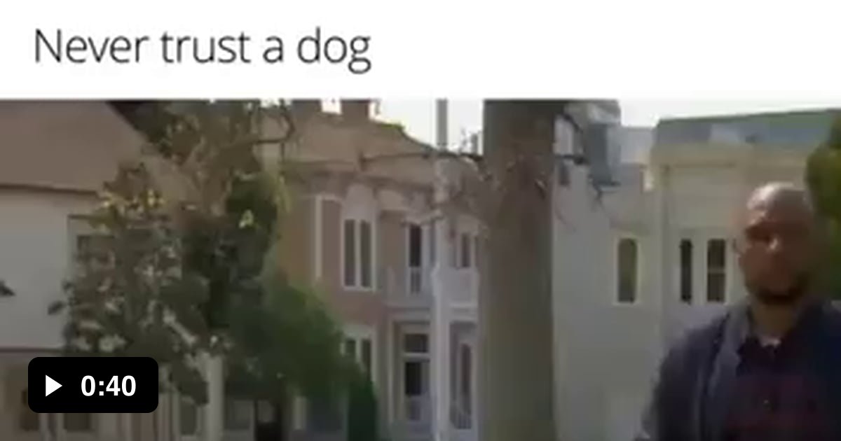 Mans Best Friend 9gag