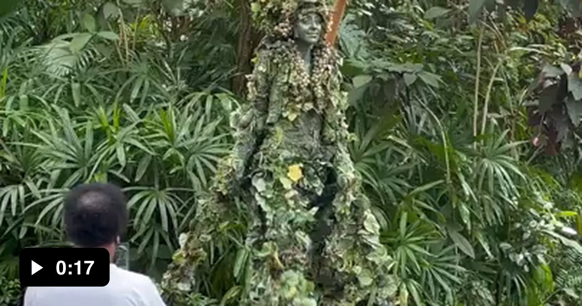 DiVine at Disney's Animal Kingdom stands about 16 feet tall and is